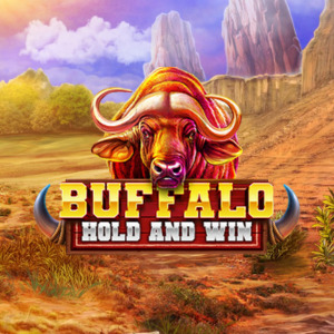 Buffalo Hold and Win